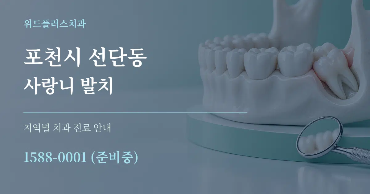 포천시 선단동 사랑니 발치 대표 안내 그래픽