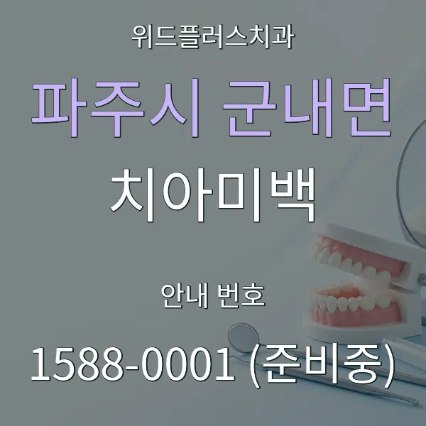 파주시 군내면 치아미백 대표 안내 그래픽