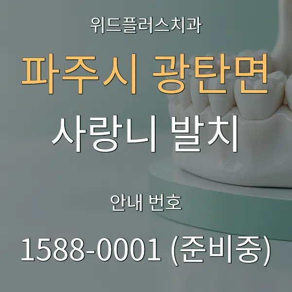 파주시 광탄면 사랑니 발치 대표 안내 그래픽