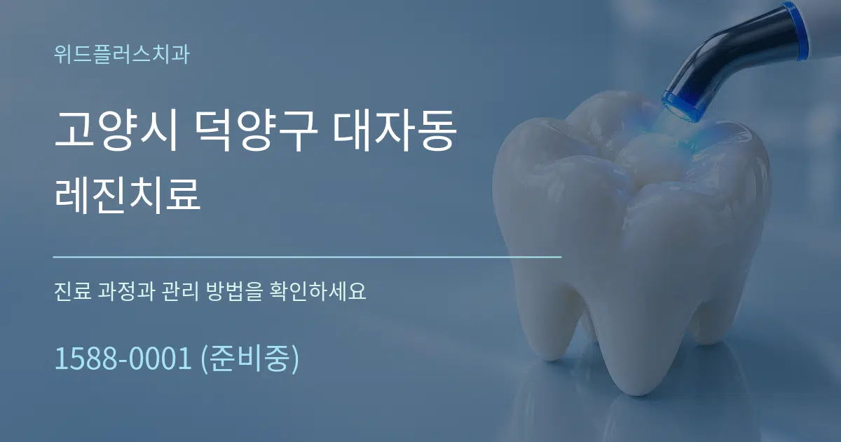 고양시 덕양구 대자동 레진치료 서비스 이용 안내 그래픽