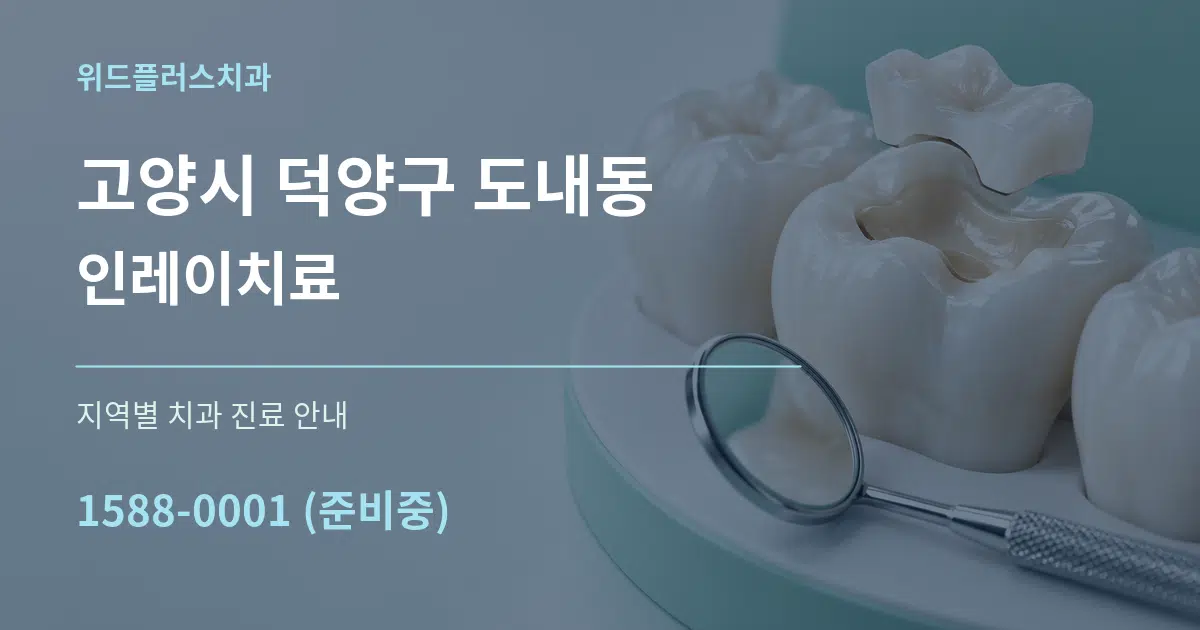 고양시 덕양구 도내동 인레이치료 대표 안내 그래픽