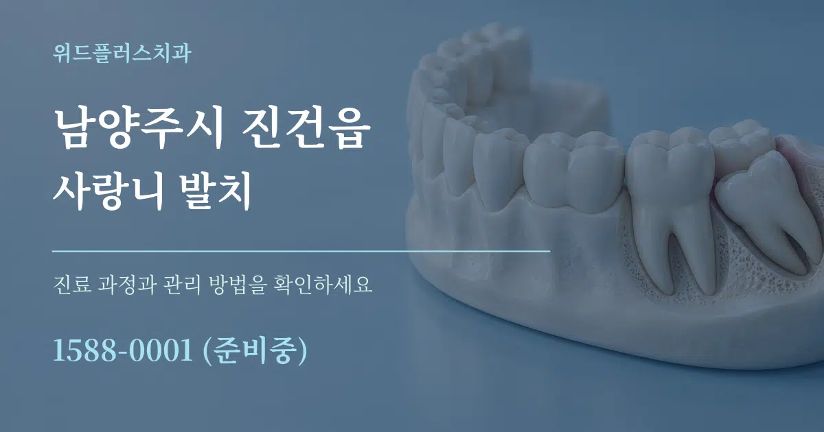 남양주시 진건읍 사랑니 발치 서비스 이용 안내 그래픽