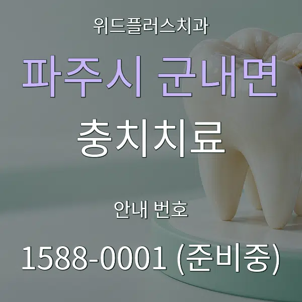 파주시 군내면 충치치료 대표 안내 그래픽
