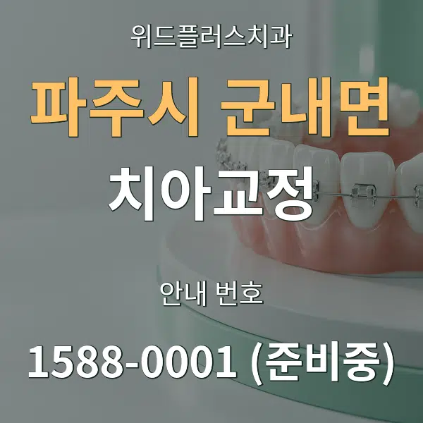 파주시 군내면 치아교정 대표 안내 그래픽