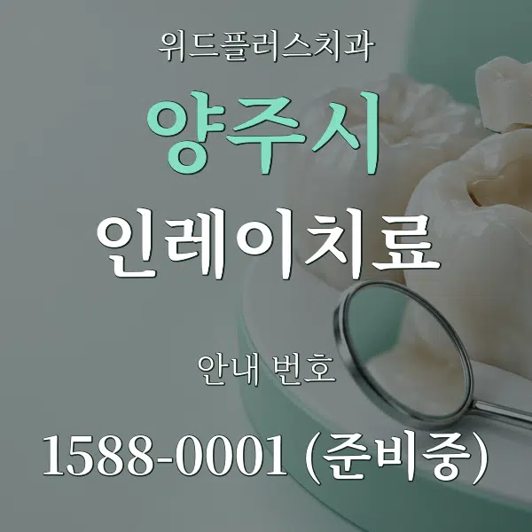 양주시 인레이치료 대표 안내 그래픽