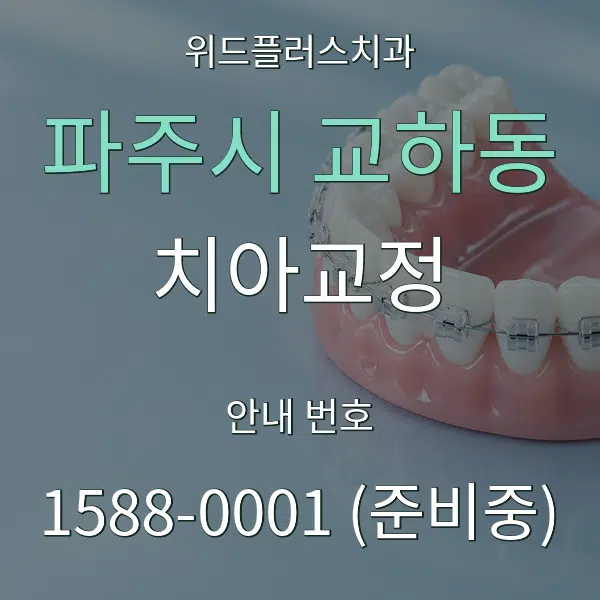 파주시 교하동 치아교정 대표 안내 그래픽