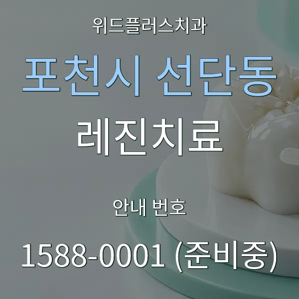 포천시 선단동 레진치료 대표 안내 그래픽