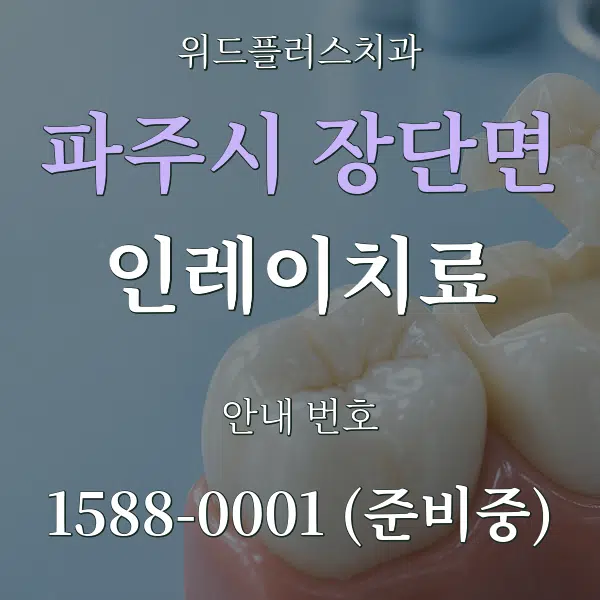 파주시 장단면 인레이치료 대표 안내 그래픽