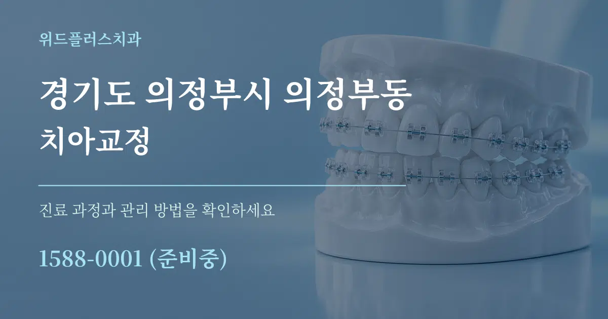 경기도 의정부시 의정부동 치아교정 서비스 이용 안내 그래픽