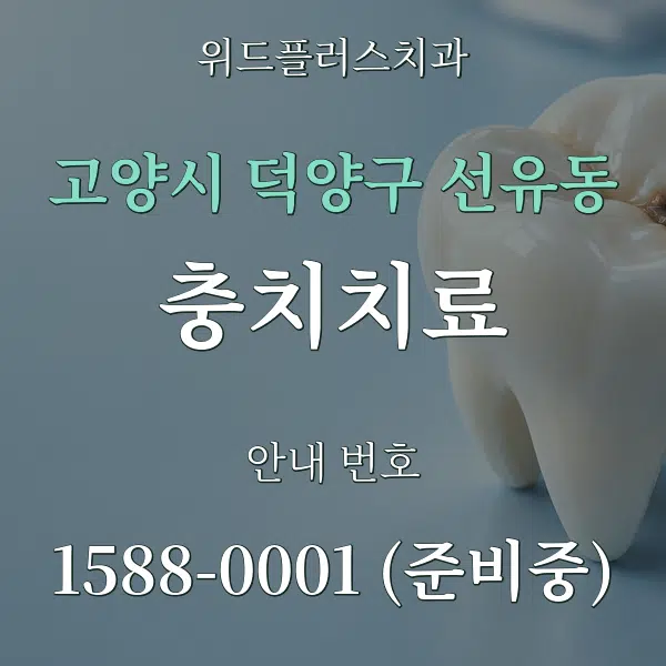 고양시 덕양구 선유동 충치치료 대표 안내 그래픽