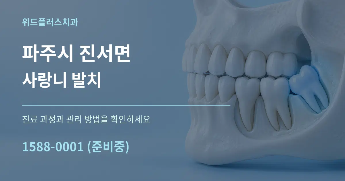 파주시 진서면 사랑니 발치 서비스 이용 안내 그래픽