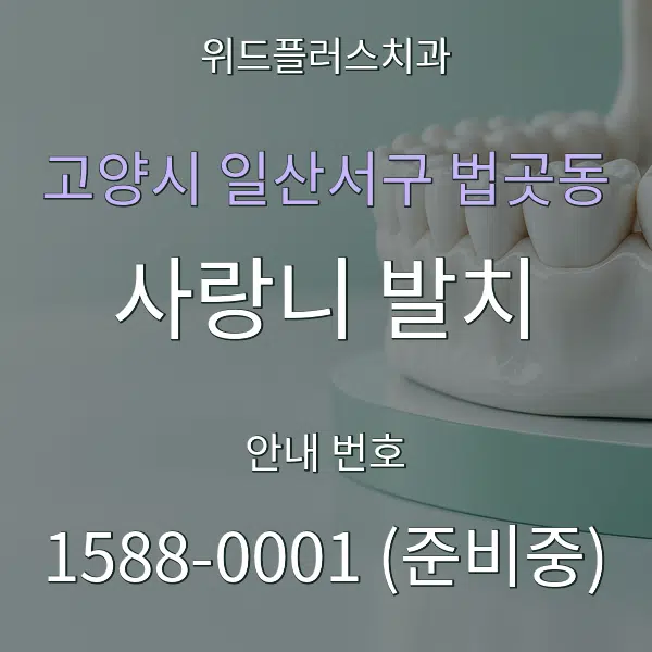 고양시 일산서구 법곳동 사랑니 발치 대표 안내 그래픽