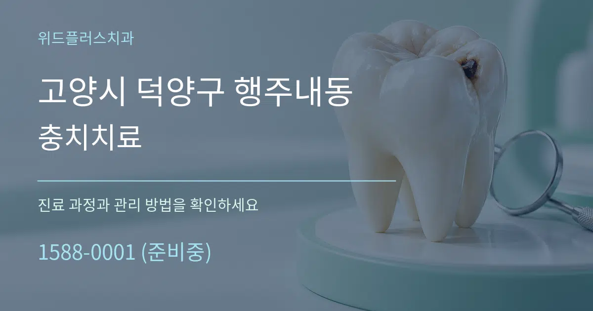 고양시 덕양구 행주내동 충치치료 작업 조건 안내 그래픽