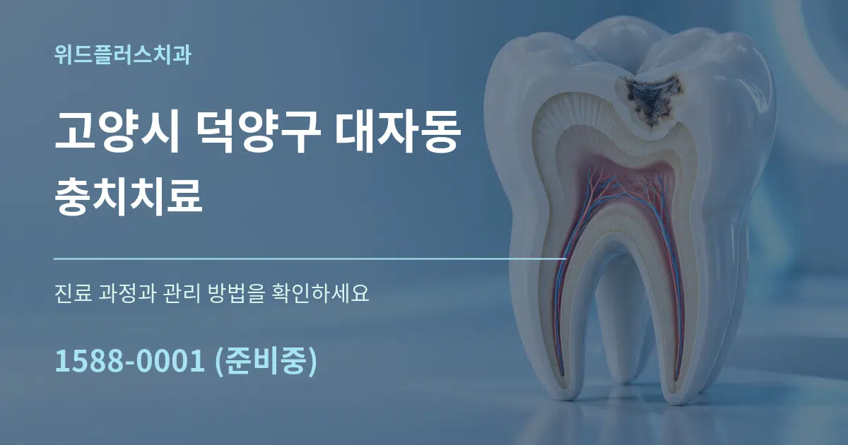 고양시 덕양구 대자동 충치치료 서비스 이용 안내 그래픽