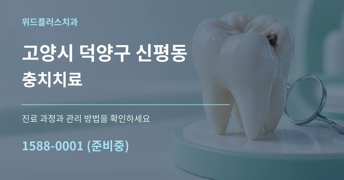 고양시 덕양구 신평동 충치치료 서비스 이용 안내 그래픽