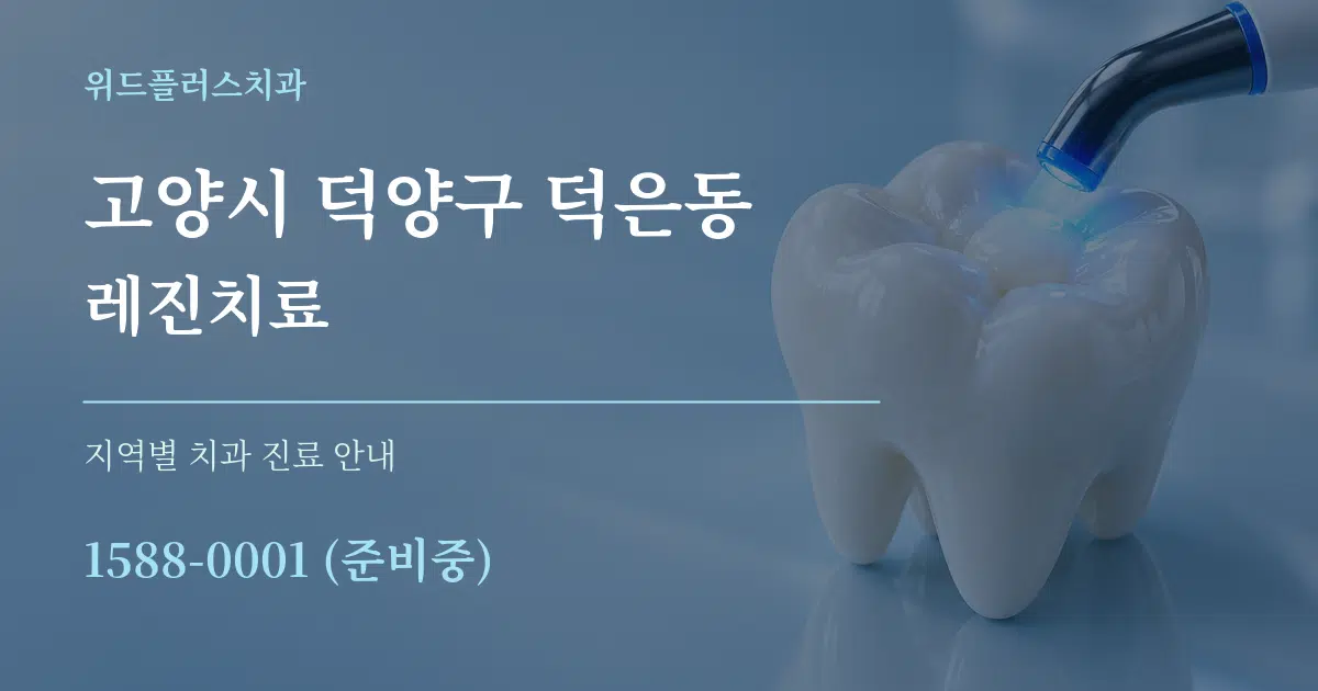 고양시 덕양구 덕은동 레진치료 대표 안내 그래픽