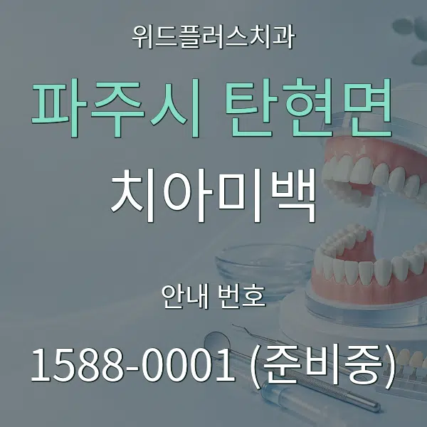 파주시 탄현면 치아미백 대표 안내 그래픽