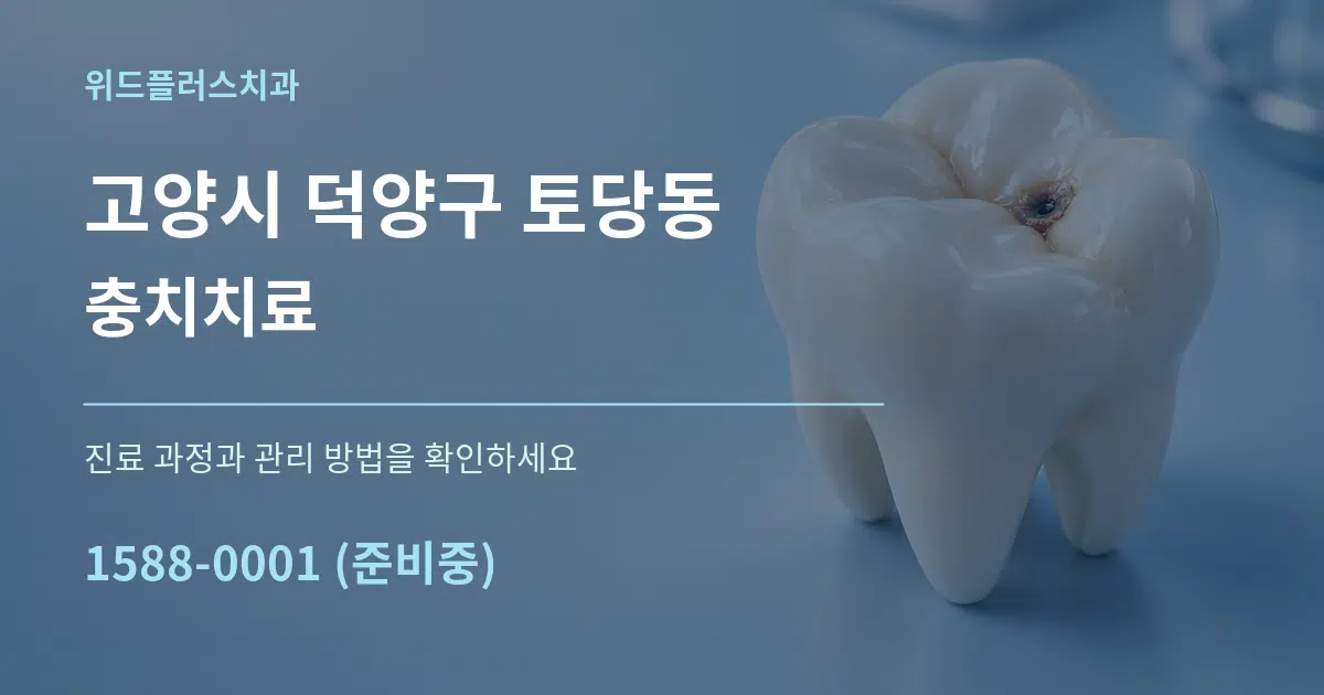 고양시 덕양구 토당동 충치치료 작업 조건 안내 그래픽