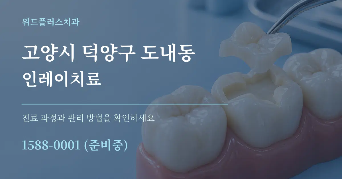 고양시 덕양구 도내동 인레이치료 작업 조건 안내 그래픽