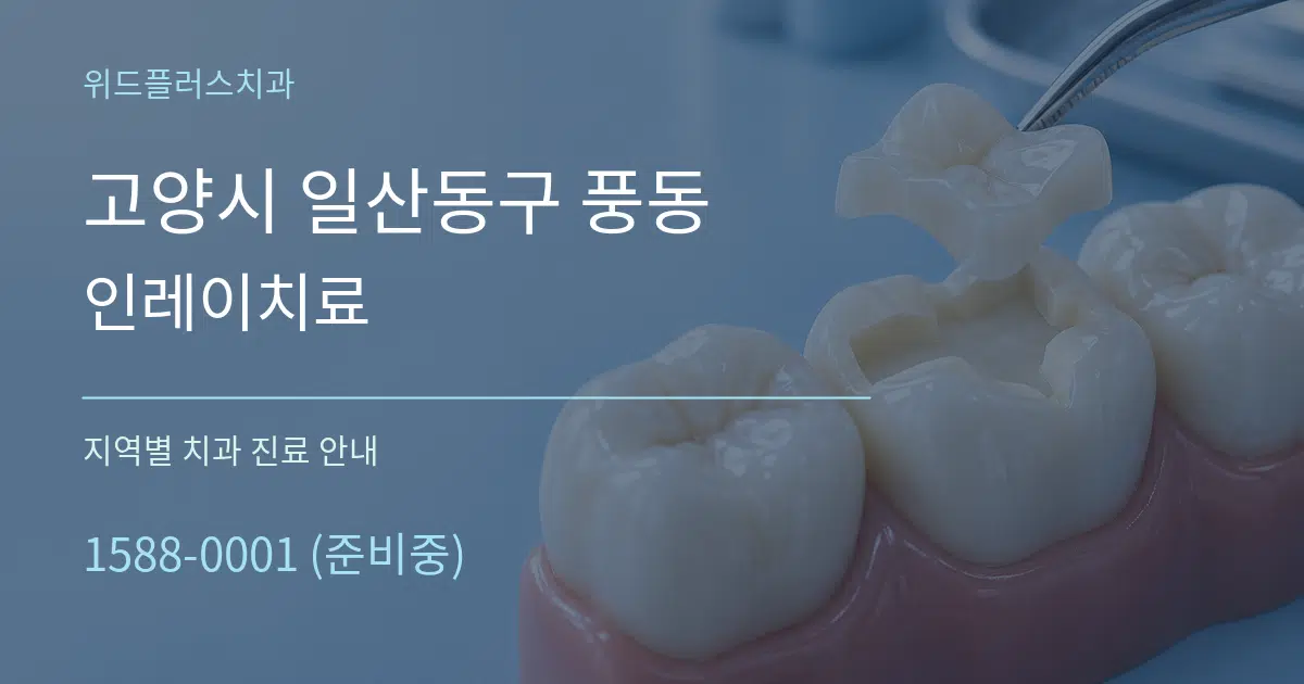 고양시 일산동구 풍동 인레이치료 대표 안내 그래픽