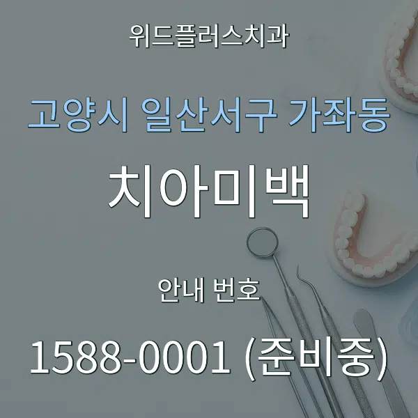 고양시 일산서구 가좌동 치아미백 대표 안내 그래픽