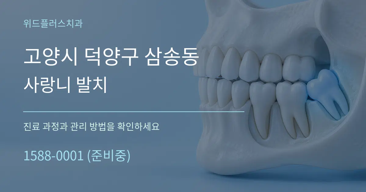 고양시 덕양구 삼송동 사랑니 발치 서비스 이용 안내 그래픽
