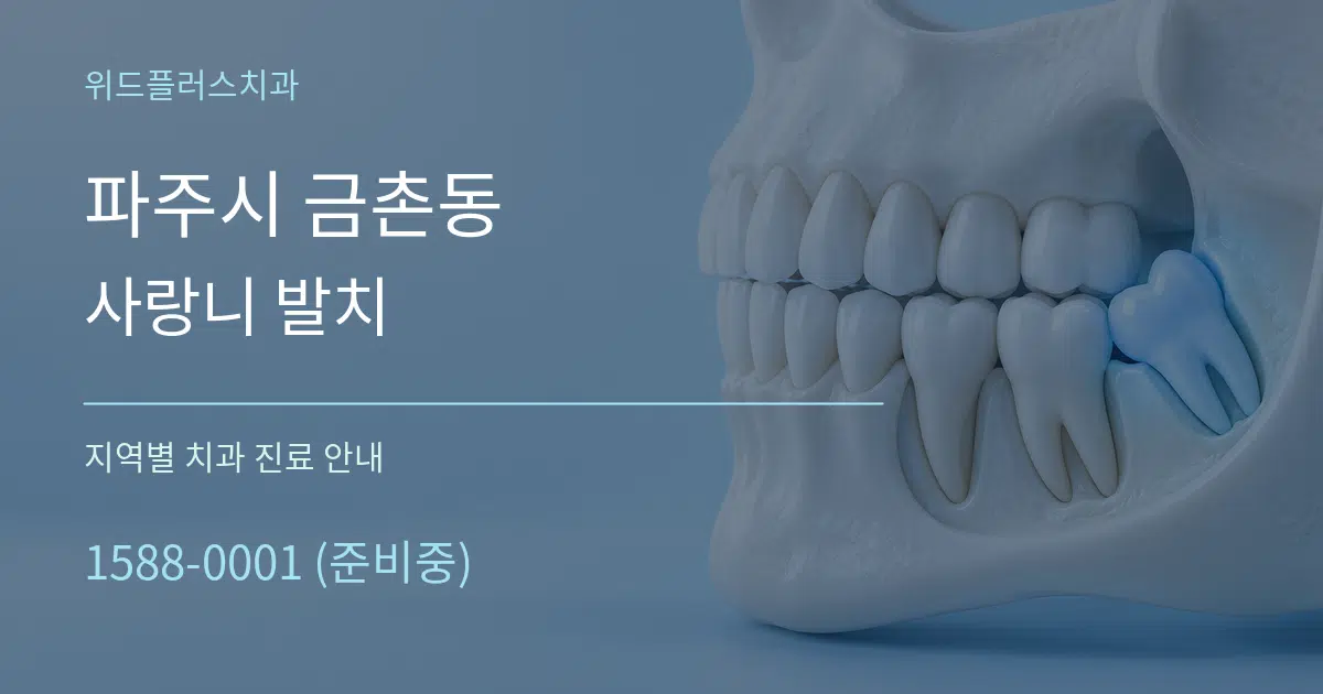 파주시 금촌동 사랑니 발치 대표 안내 그래픽