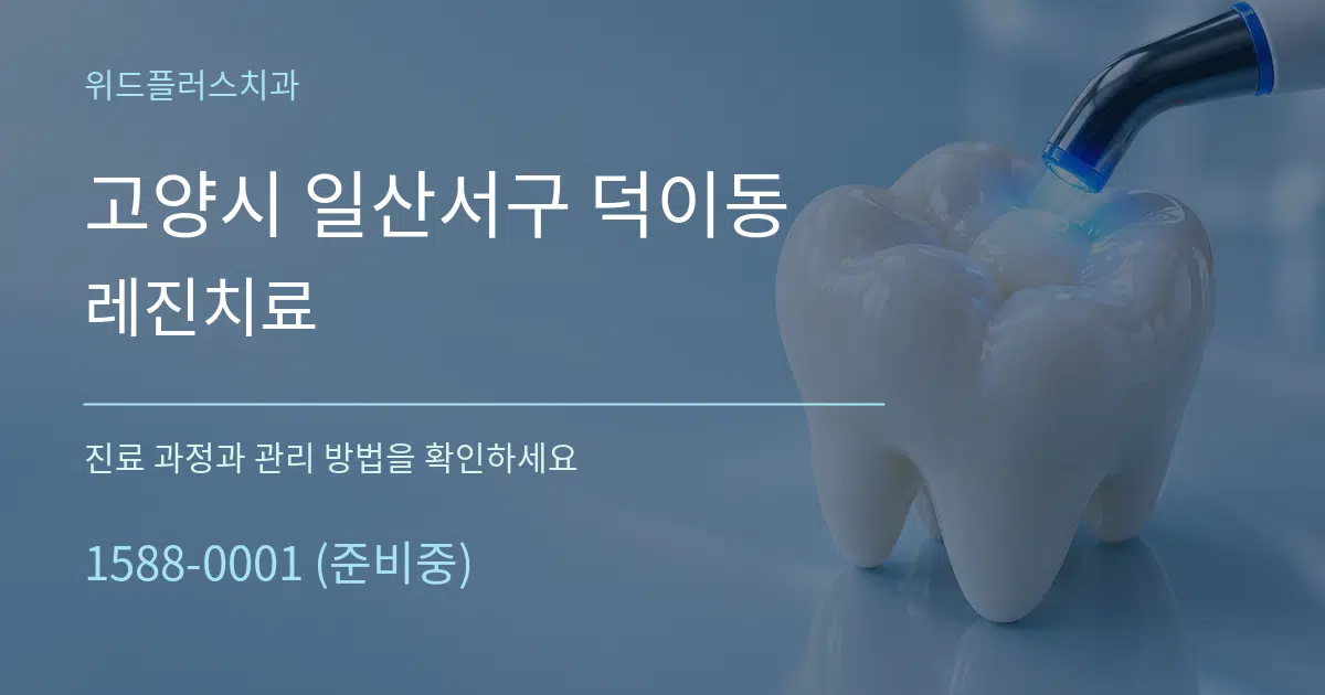 고양시 일산서구 덕이동 레진치료 서비스 이용 안내 그래픽