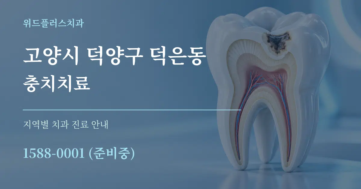 고양시 덕양구 덕은동 충치치료 대표 안내 그래픽