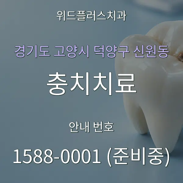 경기도 고양시 덕양구 신원동 충치치료 대표 안내 그래픽