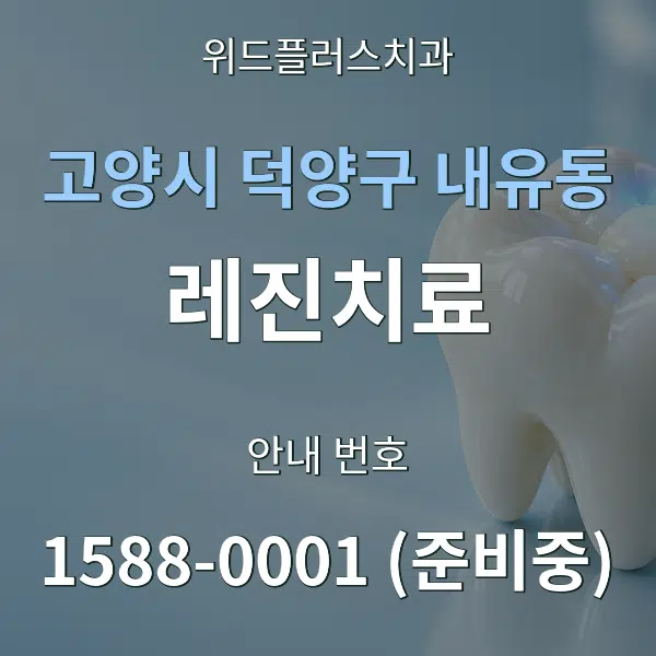 고양시 덕양구 내유동 레진치료 대표 안내 그래픽