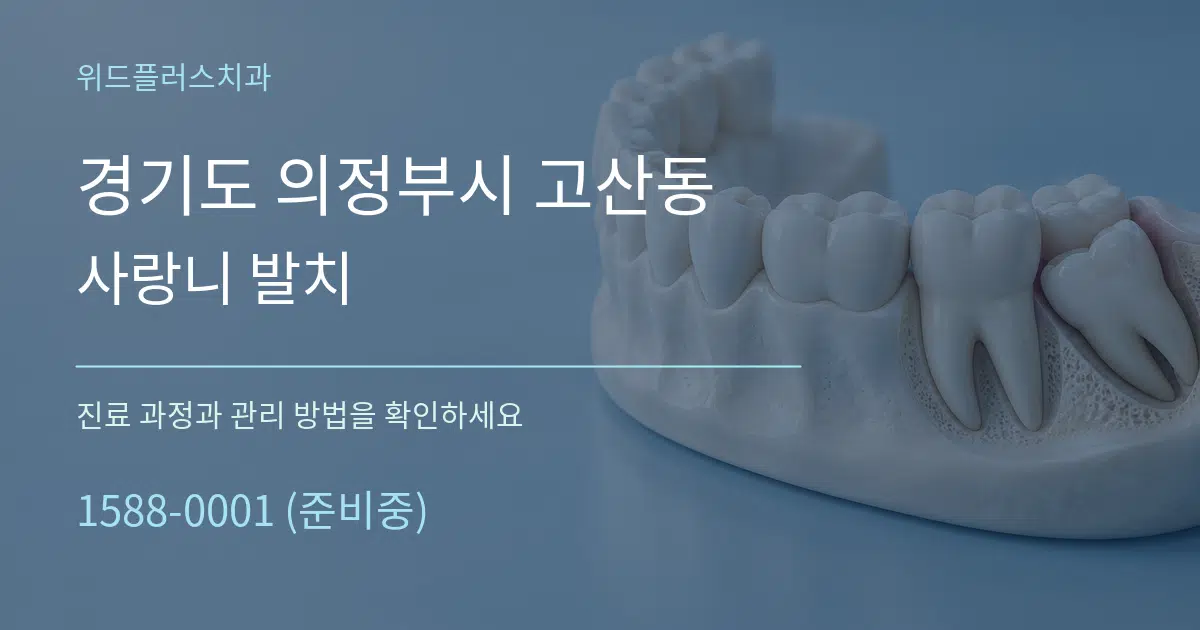 경기도 의정부시 고산동 사랑니 발치 서비스 이용 안내 그래픽