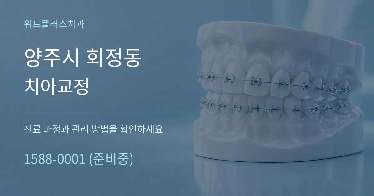 양주시 회정동 치아교정 서비스 이용 안내 그래픽