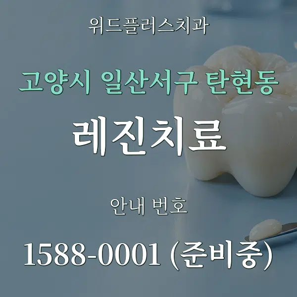 고양시 일산서구 탄현동 레진치료 대표 안내 그래픽