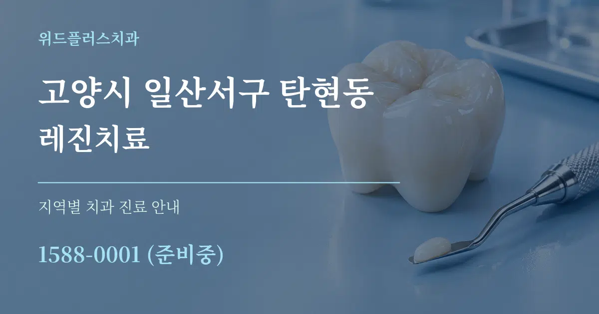 고양시 일산서구 탄현동 레진치료 대표 안내 그래픽