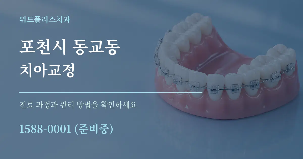 포천시 동교동 치아교정 서비스 이용 안내 그래픽