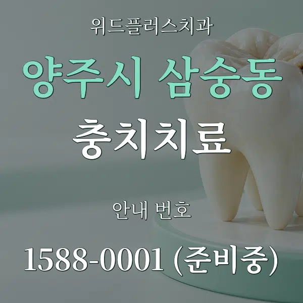 양주시 삼숭동 충치치료 대표 안내 그래픽