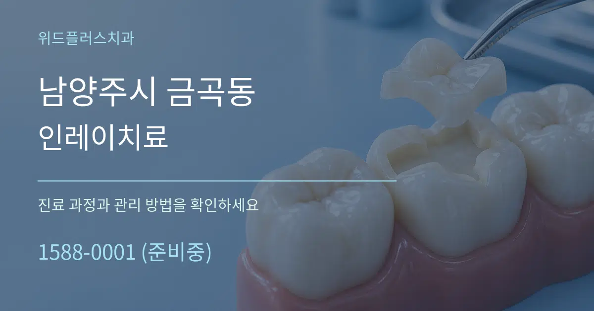 남양주시 금곡동 인레이치료 서비스 이용 안내 그래픽