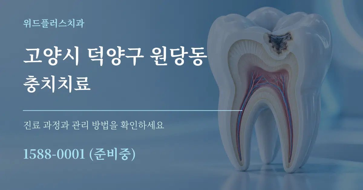 고양시 덕양구 원당동 충치치료 서비스 이용 안내 그래픽