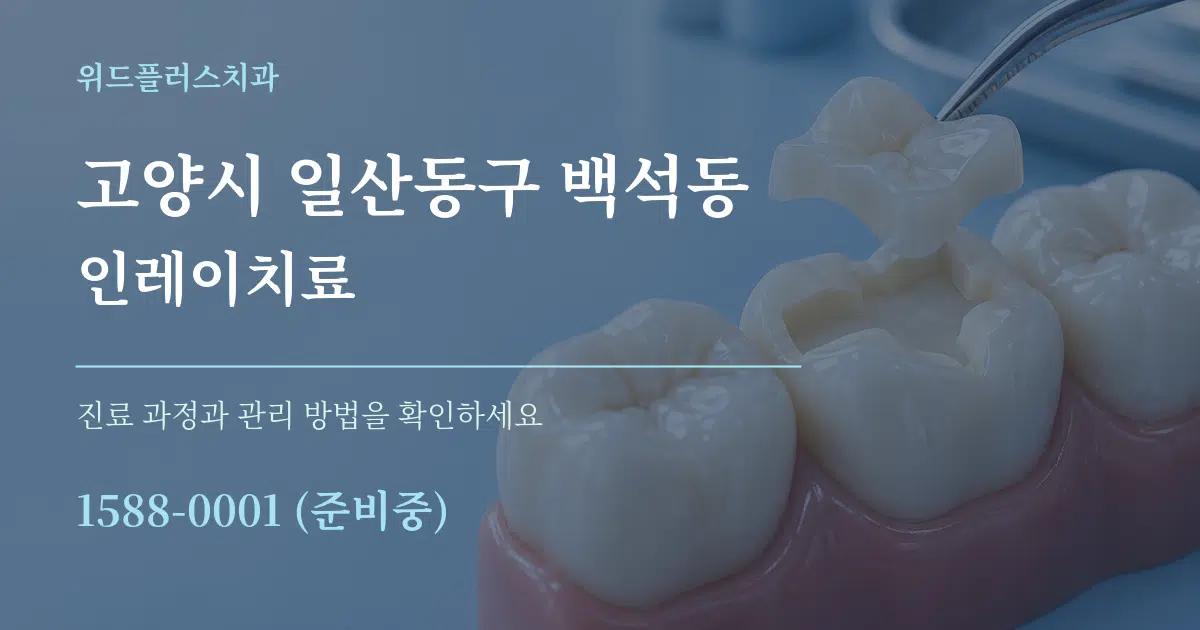 고양시 일산동구 백석동 인레이치료 작업 조건 안내 그래픽