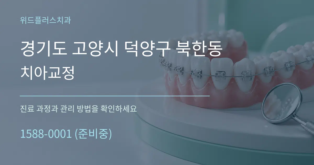 경기도 고양시 덕양구 북한동 치아교정 작업 조건 안내 그래픽