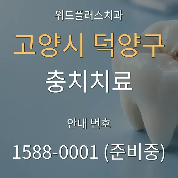 고양시 덕양구 충치치료 대표 안내 그래픽