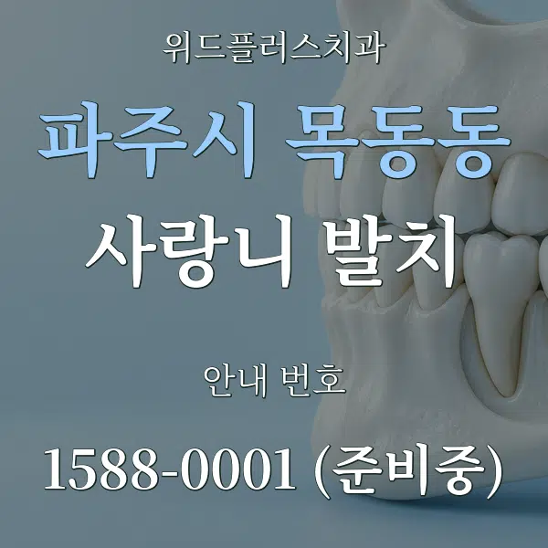 파주시 목동동 사랑니 발치 대표 안내 그래픽