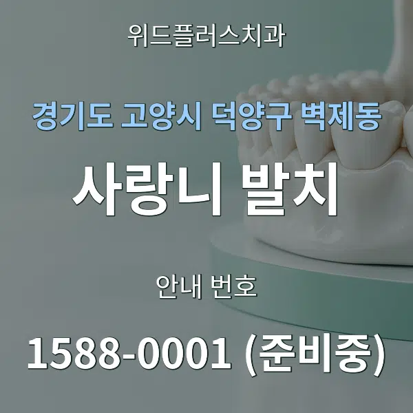 경기도 고양시 덕양구 벽제동 사랑니 발치 대표 안내 그래픽