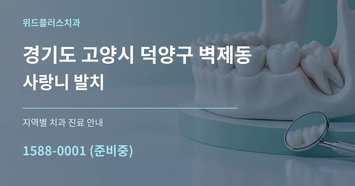 경기도 고양시 덕양구 벽제동 사랑니 발치 대표 안내 그래픽