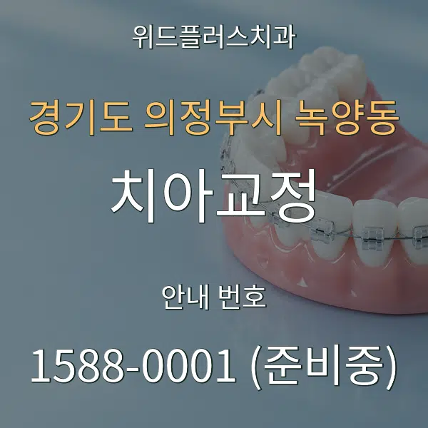 경기도 의정부시 녹양동 치아교정 대표 안내 그래픽