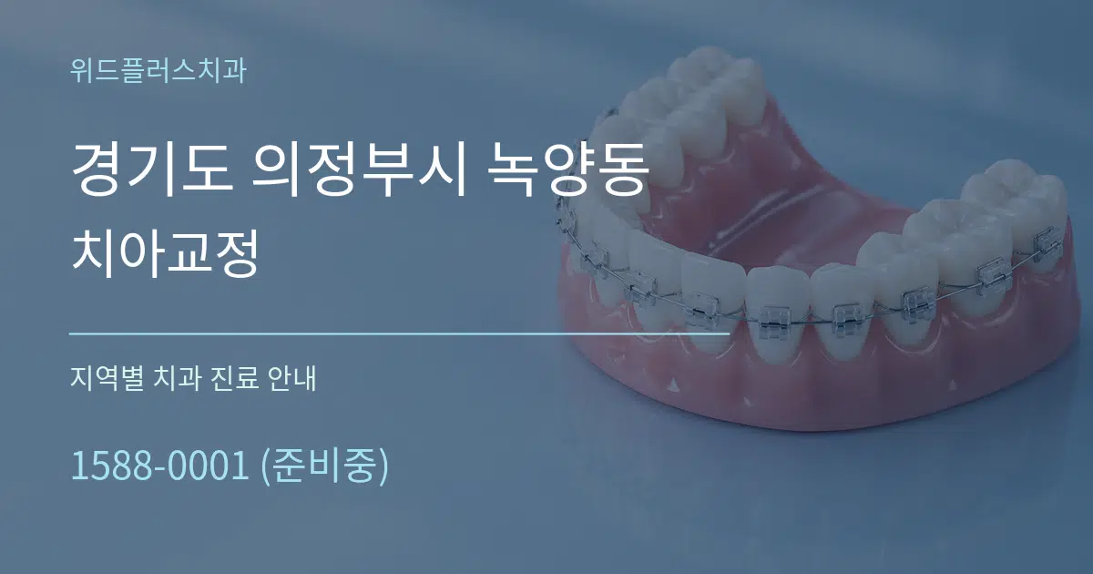 경기도 의정부시 녹양동 치아교정 대표 안내 그래픽