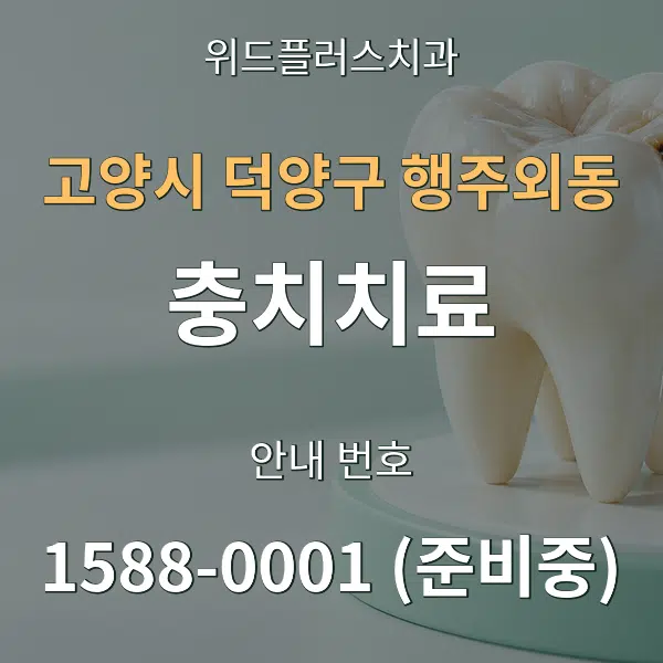 고양시 덕양구 행주외동 충치치료 대표 안내 그래픽