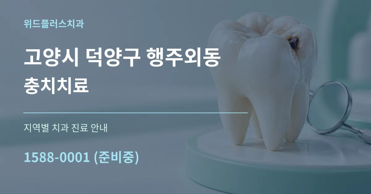 고양시 덕양구 행주외동 충치치료 대표 안내 그래픽