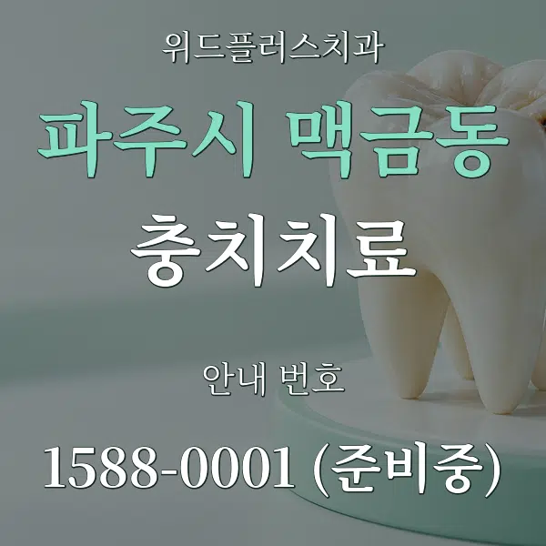 파주시 맥금동 충치치료 대표 안내 그래픽